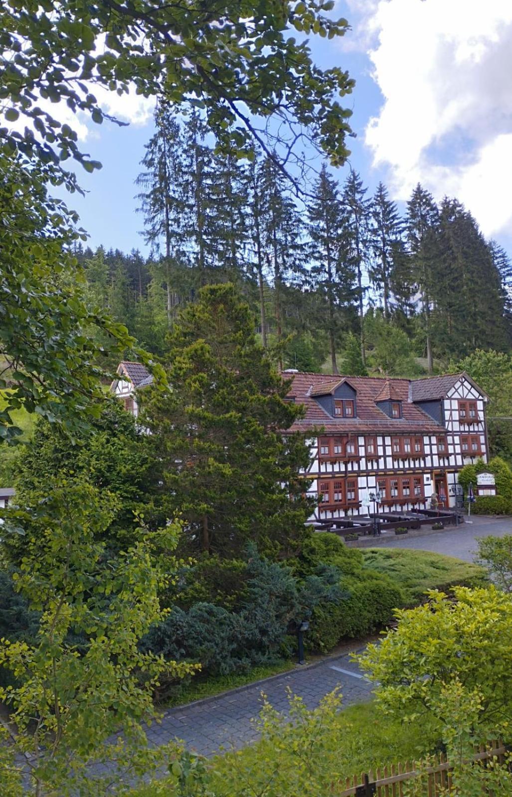 Pension Landhaus Machold Friedrichroda Εξωτερικό φωτογραφία
