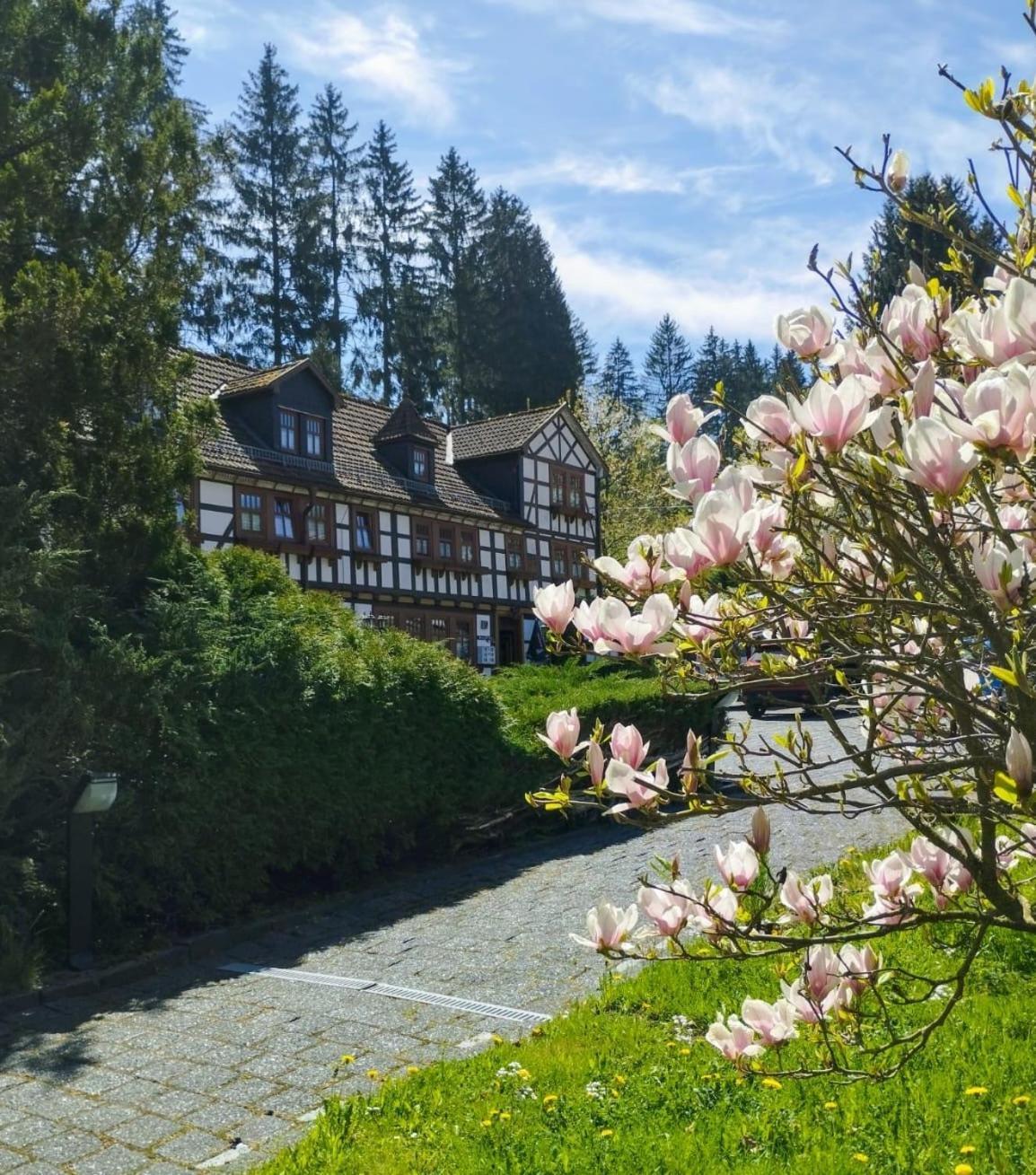 Pension Landhaus Machold Friedrichroda Εξωτερικό φωτογραφία