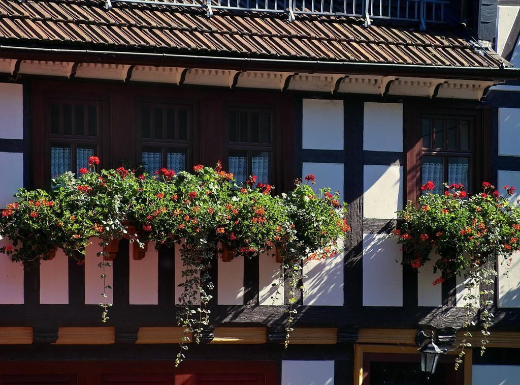 Pension Landhaus Machold Friedrichroda Εξωτερικό φωτογραφία